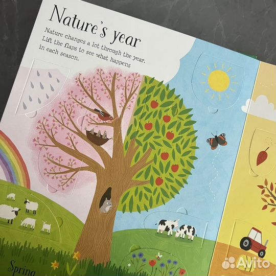 Usborne Lift-the-Flap Nature Greenwell Jessica