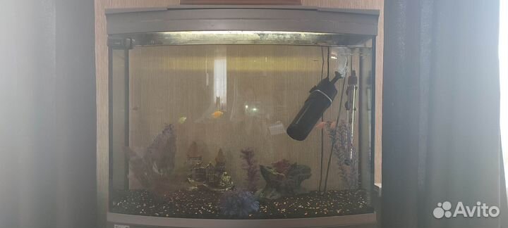 Аквариум