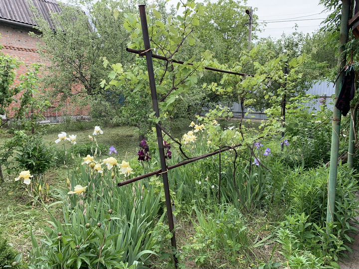 Дача 50 м² на участке 10 сот.