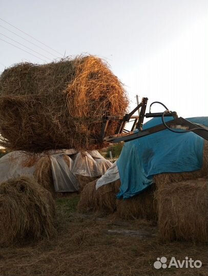 Плуг 86 Механический завод ПСК-5, 2024