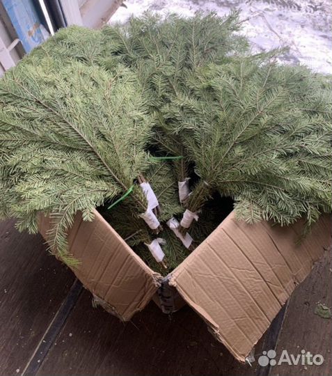 Веники для бани