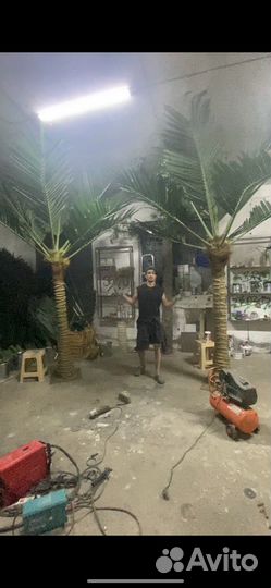 Искусственная пальма