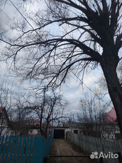 Отдам дрова бесплатно