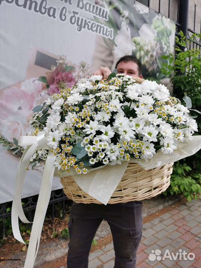 Букет ромашек Ромашки Цветы в корзине