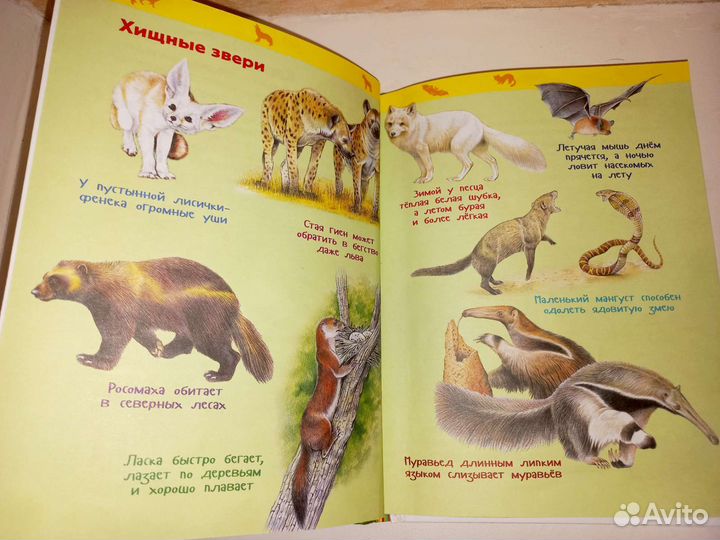 Энциклопедия для детского сада росмэн