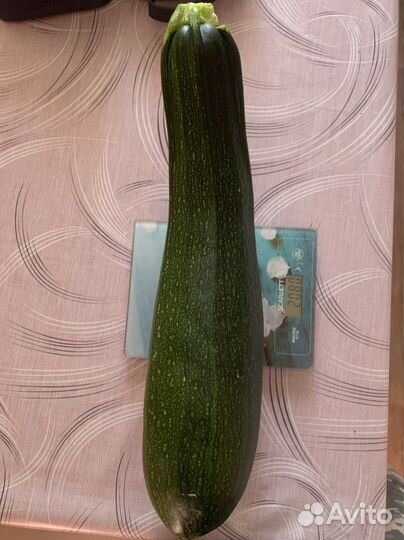 Цуккини и кабачки