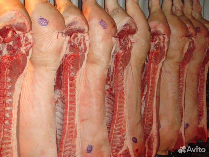 Свинина охлаждённое полутушки, доставка по городу
