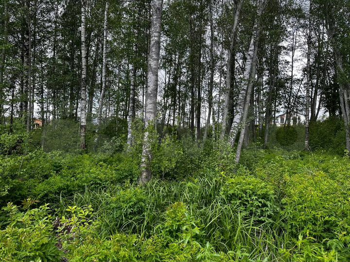 Участок 10 сот. (ИЖС)
