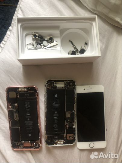 iPhone 7 разбор