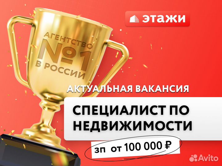 Риелтор (оклад 30 000 + процент от продаж)