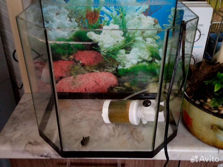 Аквариум