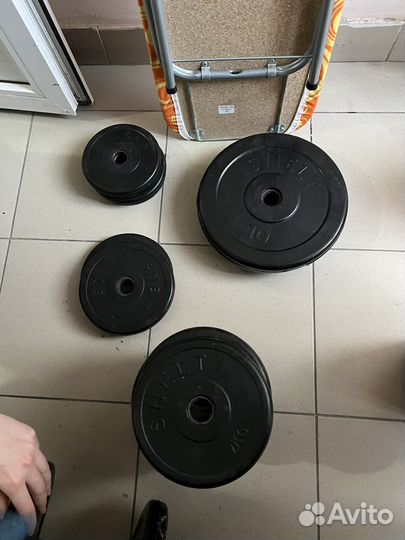 Спортивные блины, гриф, гантеля