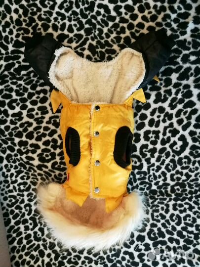 Одежда для собак