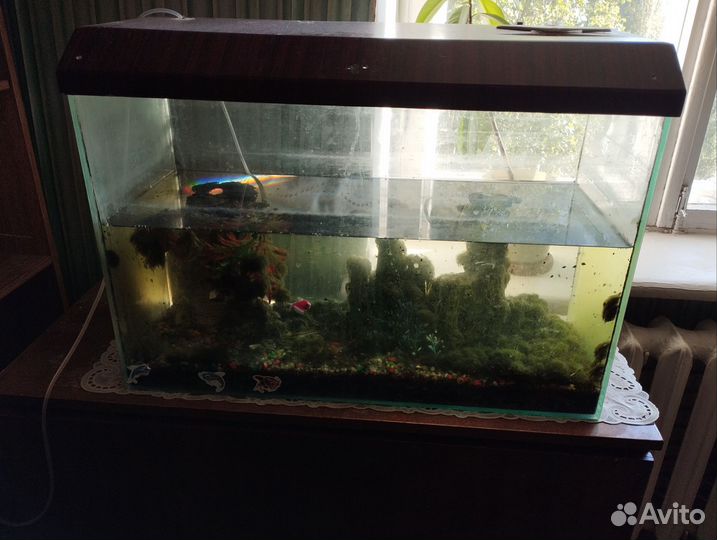 Аквариум