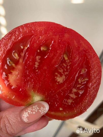 Помидоры