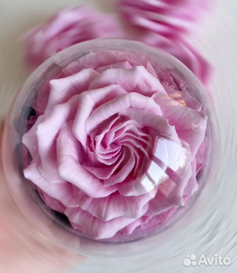 Роза из мыла. Цветы из мыла. Бюджетный подарок