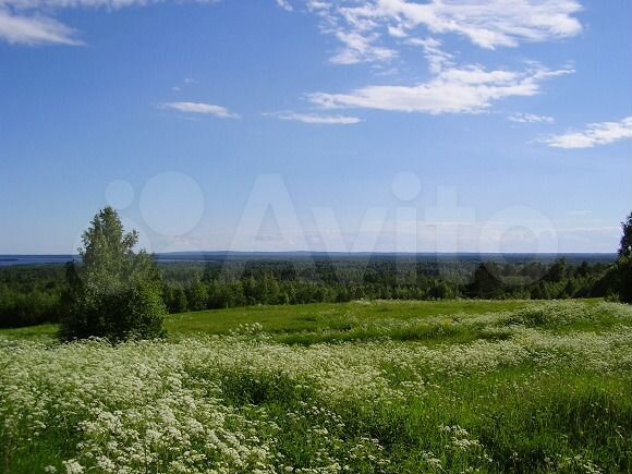 Участок 24 га (СНТ, ДНП)
