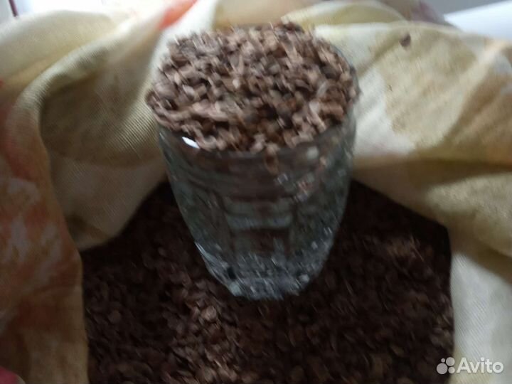 Укроп для соленья капусты. И т.д