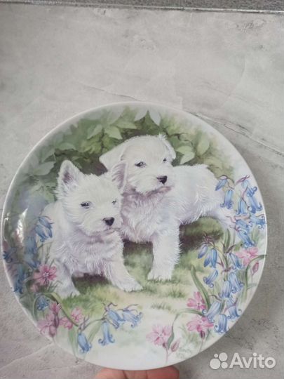 Настенная тарелка фарфоровая декоративная винтаж