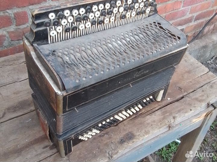 Баян ростов дон