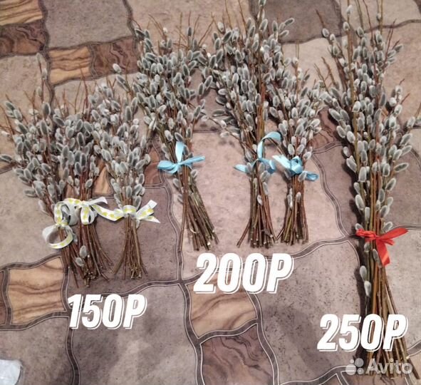 Вербу продам