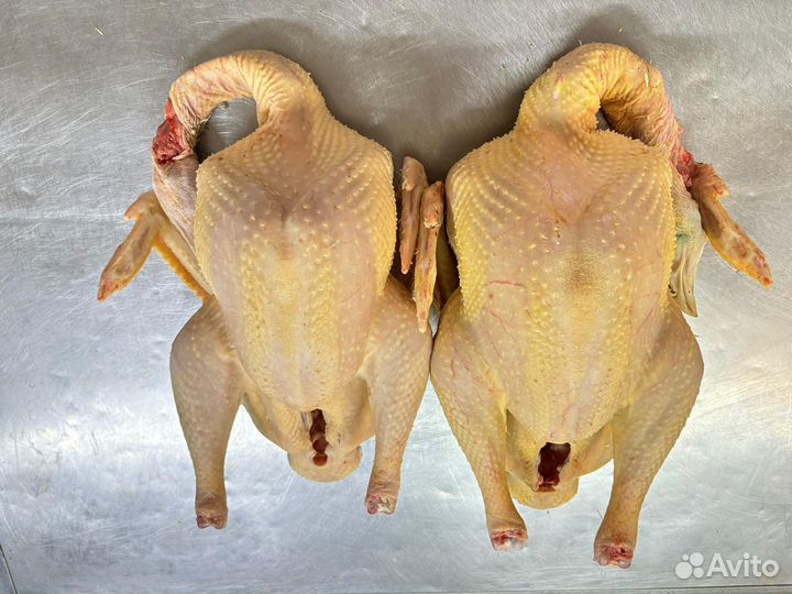 Индейка халяль