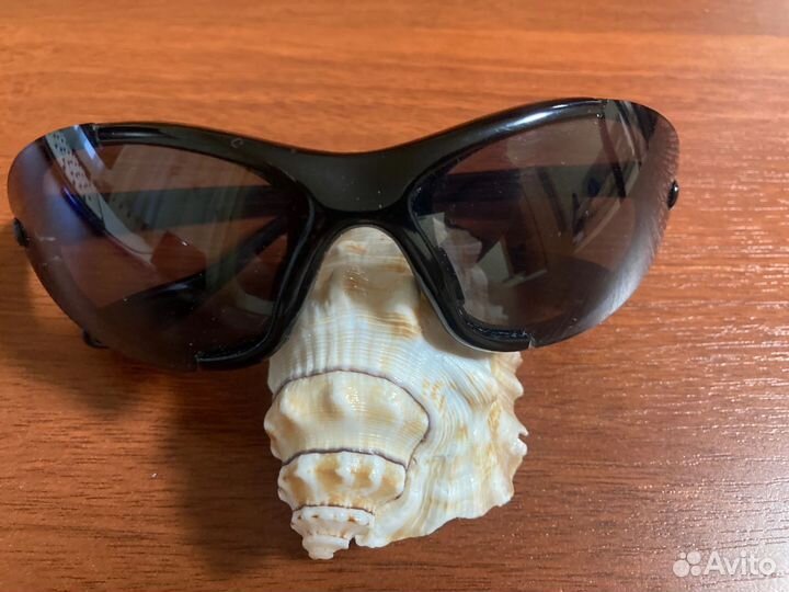 Очки sinner солнцезащитные, спортивные