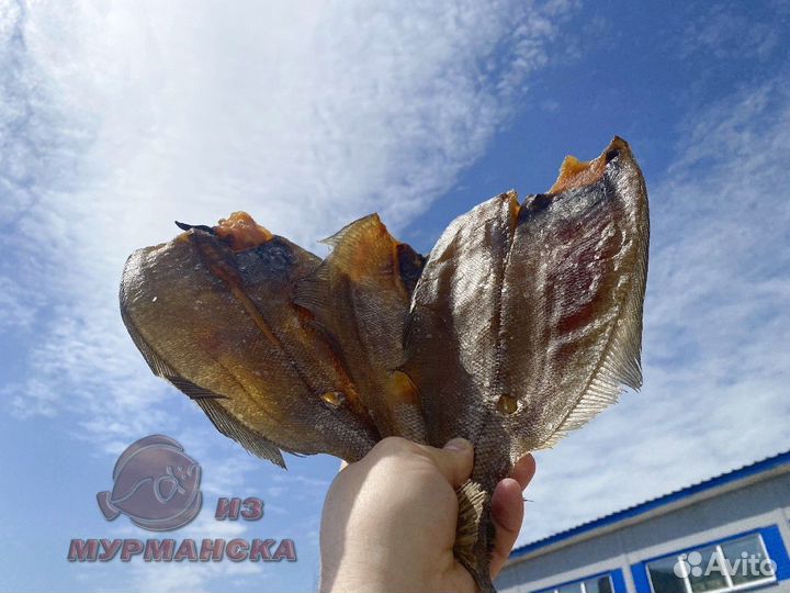 Ерш вяленый из Мурманска