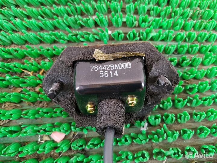 Камера заднего вида Nissan Almera Tino 2005