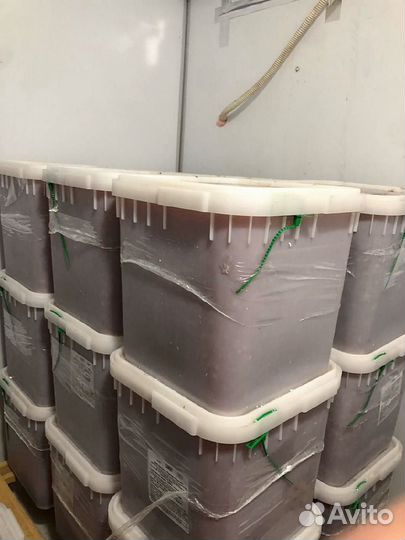 Икра Кеты опт