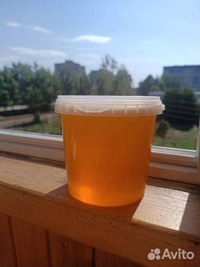 Свежий мед 2023