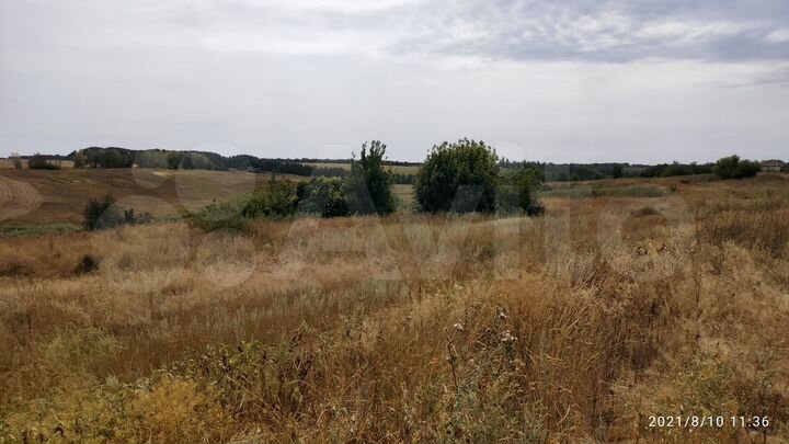 Участок 81 га (промназначения)