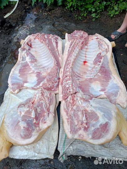 Домашние свежее мясо свинина