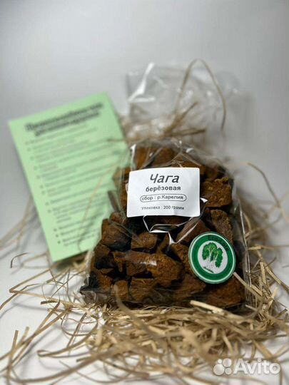 Березовый гриб чага Карелии