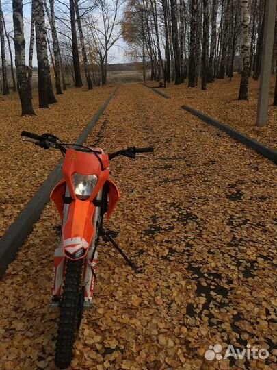 Apollo забронирован