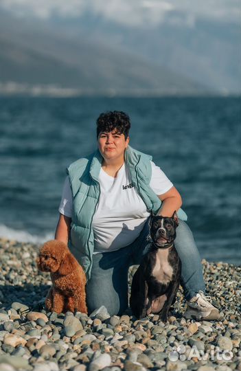 Зоопсихолог Дрессировка Воспитание собак с выездом