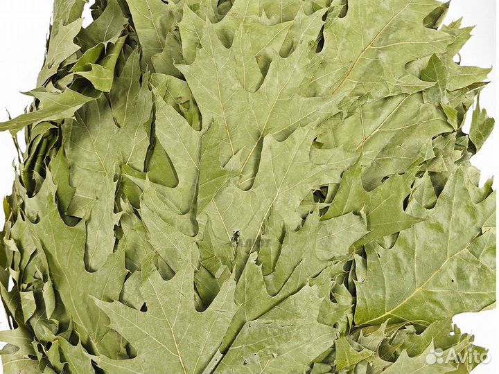 Веник из дуба красного в упаковке