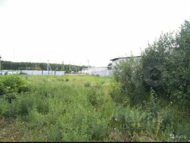 Участок 10 сот. (ИЖС)