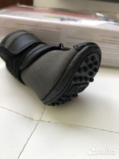 Обувь для собак