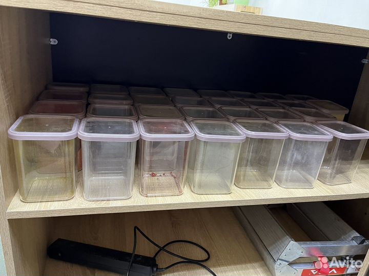 Банка для сыпучих