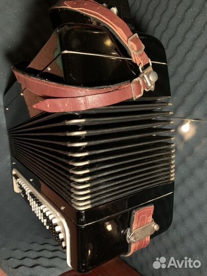 Баян тульский терка