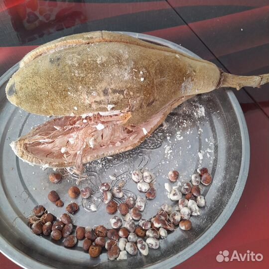 Семена баобаба