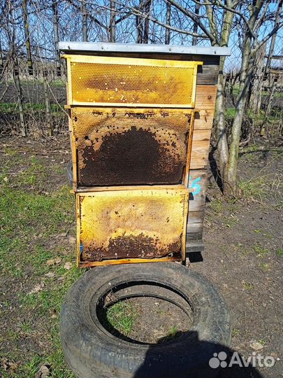 Продам ульи