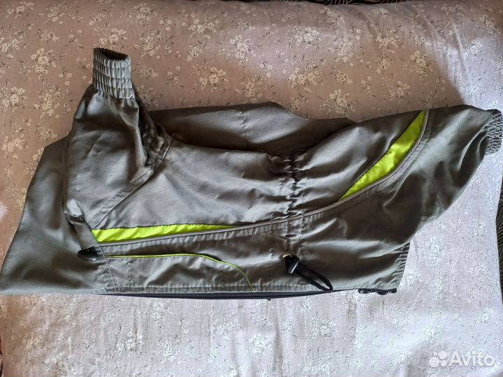 Комбинезон для маленькой собаки, мальчик