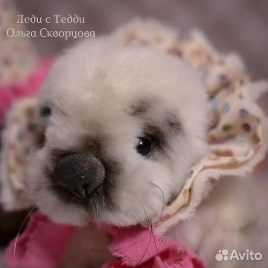 Мишка тедди коллекционный белек-детеныш