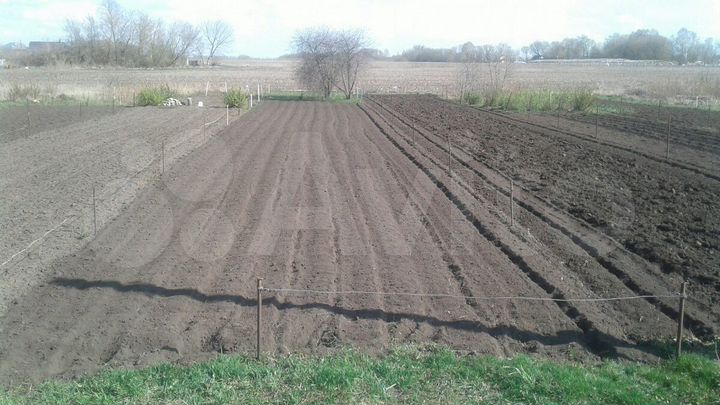 Участок 3 сот. (СНТ, ДНП)