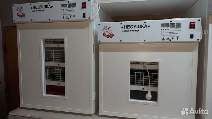 Интенсивный инкубатор icb 145i. Инкубатор 528. Инкубатор автоматический 1000 яиц ms 1000. Каневской инкубатор. Инка 480+160 инкубатор.