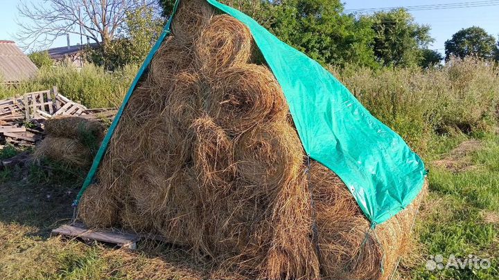 Продам сено на корм