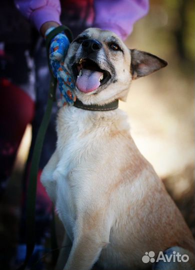 Милая Манечка