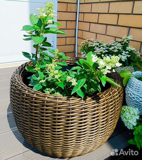 Кашпо из ротанга корзина 7л 12л 16л 20л 40 л